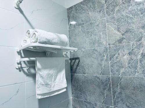 a bathroom with a towel rack and a shower at Comfy apartment near central train station in Ulaanbaatar