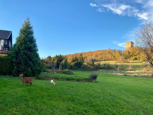 two animals in a field with a castle in the background at Basel Landskron Haus in Leymen