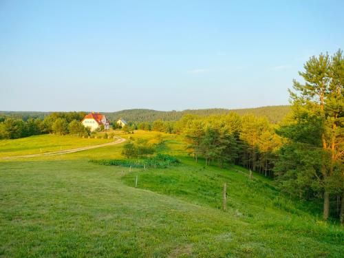 a green field with trees and a house in the distance at Dworek Zielone Wzgórza Nad Jeziorem in Postawele