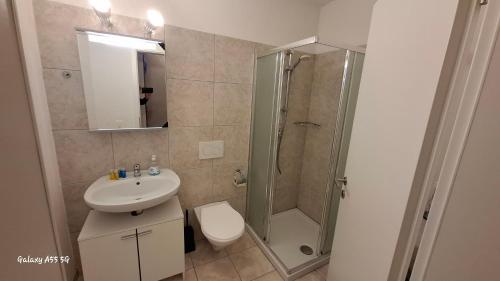 a bathroom with a shower and a sink and a toilet at B&B Lostallo Beat and Bloom in Lostallo