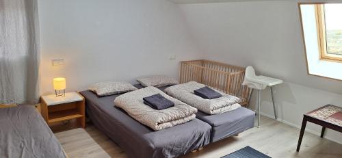 two twin beds in a bedroom with a window at Cottage in the middle of nowhere in Ölfus