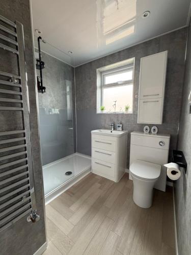 a bathroom with a toilet and a sink and a shower at Teran the apartment in Timsbury