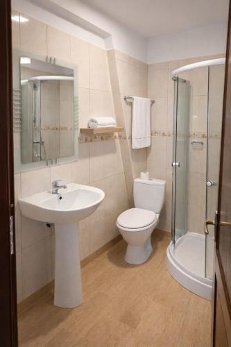 a bathroom with a sink and a toilet and a shower at Pensiune Restaurant Lyra in Corunca