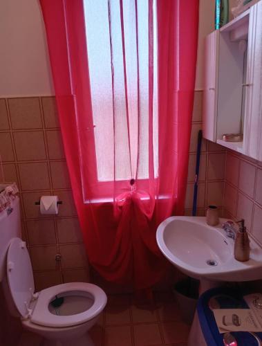 a bathroom with a toilet and a sink at Grazioso bilocale in Giusvalla