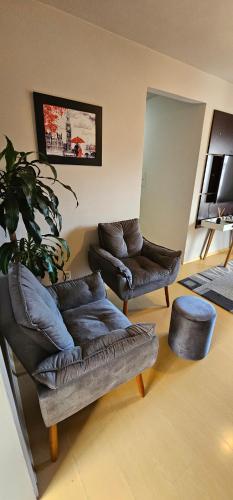 a living room with two couches and a plant at Apartamento amplo, confortável e central! in Veranópolis