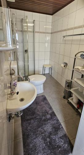 a bathroom with a sink and a toilet at Ferienwohnung Glashauser in Biedenkopf