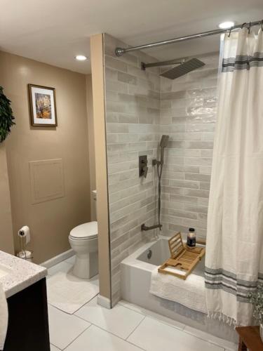 a bathroom with a tub and a toilet and a shower at Beacon Hudson Hideaway in Beacon
