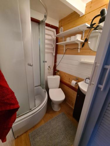 a small bathroom with a toilet and a shower at Chatki Małgorzatki in Bystre