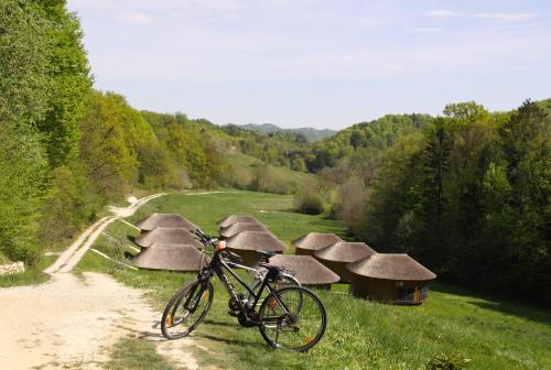Foto Glamping Bionic healing village 6