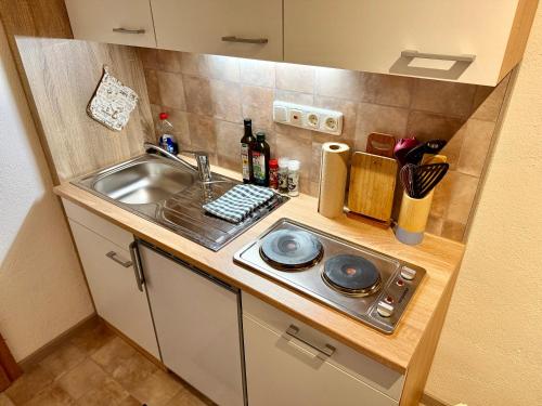 a small kitchen with a sink and a counter at Apartment Bayerischer Wald - Ferienwohnung mit Küche, Parkplatz, WLAN & 24h Checkin in Waffenbrunn