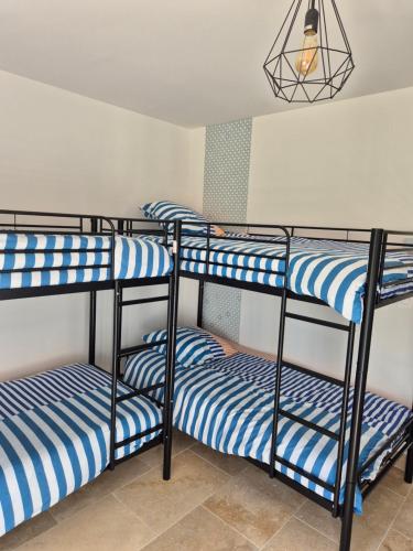a group of four bunk beds in a room at La Cabane du Porteau in Saint-Georges-sur-Cher
