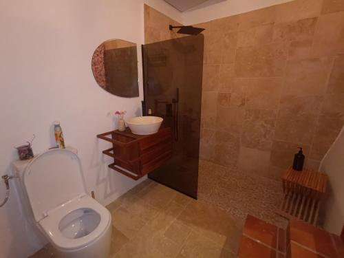 a bathroom with a toilet and a shower and a sink at Domaine kaliope in Le Robert