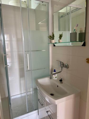 a bathroom with a sink and a shower at StayU Apartment in Ústí nad Labem