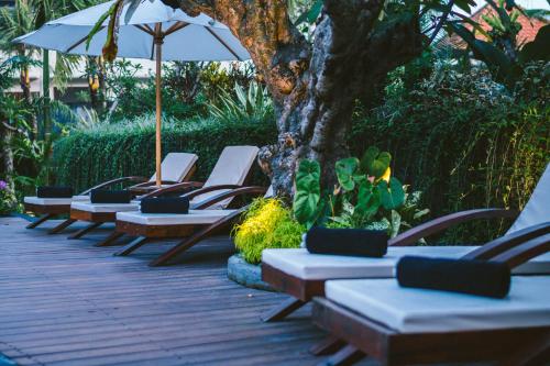 Honai Resort — Pool view