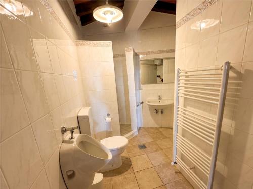 a bathroom with a toilet and a sink at Casa Ana Istria 1 in Savudrija