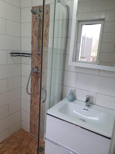 a bathroom with a sink and a shower at Ferienwohnung am Schwielochsee in Schwielochsee
