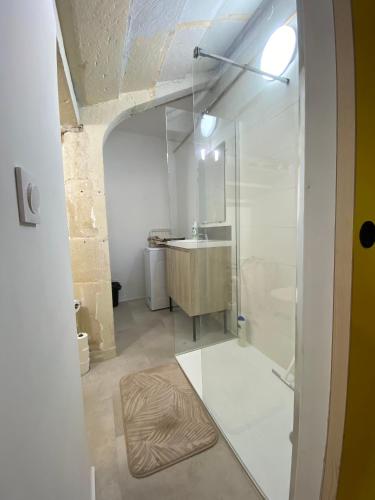 a bathroom with a shower and a sink at Studio cosy avec jardin privé - Proche de tout ! in Montbard