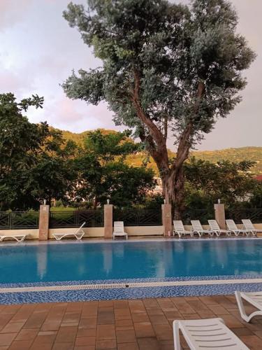 a swimming pool with lounge chairs and a tree at ევრო პალას გონიო in Kvariati