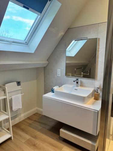 a bathroom with a sink and a skylight at Villa du Parc de Scey in Dole
