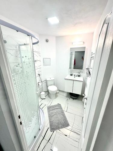 a bathroom with a shower and a toilet and a sink at NextSpace Nr 2 in Sfântu-Gheorghe