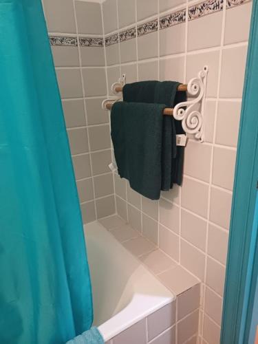 a bathroom with a shower with green towels at Our dream in blue in Sèze
