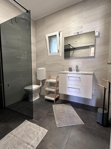 a bathroom with a sink and a toilet and a shower at Apartments Vukovic in Selce