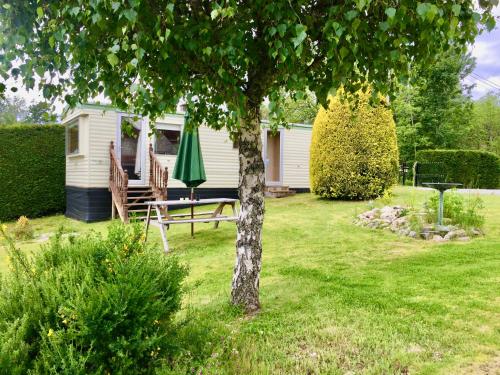 a garden with a table and a green umbrella at Forest View - Adults Only - Maximum 2 Guests in Drumnadrochit