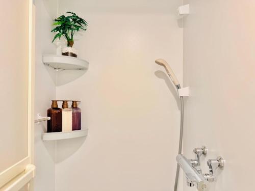 Cozy Apartment in Central Asakusa Walk to Shopping and Dining