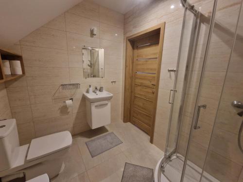 a bathroom with a shower and a toilet and a sink at Apartament Blisko Lasu in Rzystnowo