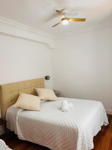 Cozy Apartamento