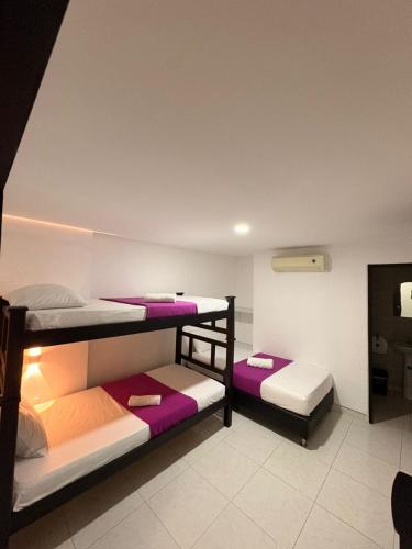 two bunk beds in a room with purple and white at Hotel Plaza Roma in Ríohacha