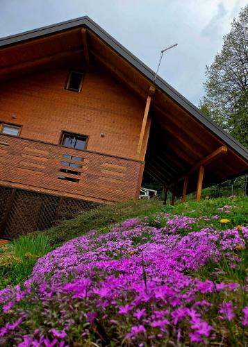 Romantic cabin in the woods - Fesnga, Slovenia