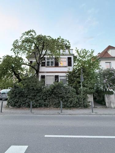a white house with a tree in front of a street at Nora Private Home on Neckar in Heidelberg