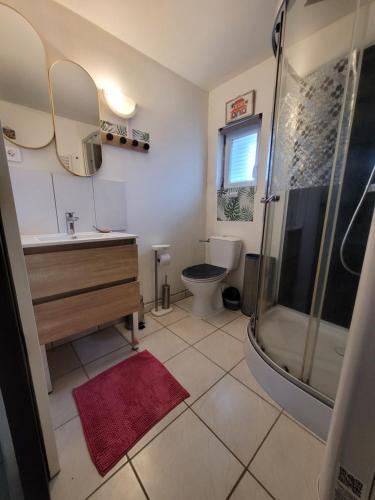 a bathroom with a shower and a sink and a toilet at À la campagne, studio 25M2-pour 2p, CALME, wifi, jardin, parking in Yèvres