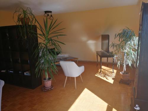 Svetainės erdvė apgyvendinimo įstaigoje Ferienwohnung Varmissen nah bei Göttingen