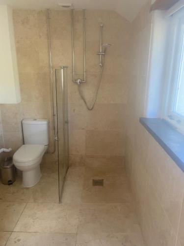 a bathroom with a shower and a toilet in it at THE Old DAIRY in Whitland
