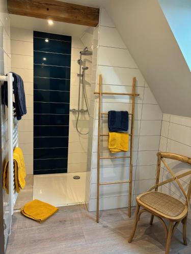 a bathroom with a shower and a chair at Les Chambres Chez Christine in Ottrott