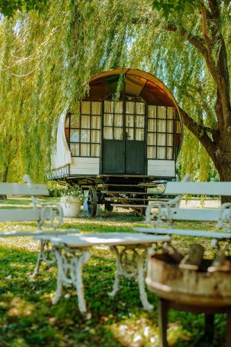 a group of park benches sitting under a tree at Don Aniceto Lodges & Glamping in Luján