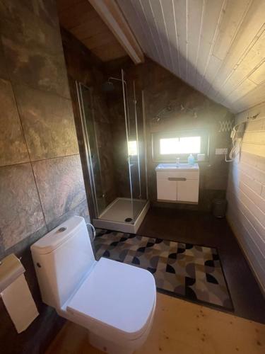 a bathroom with a toilet and a shower at Luma Hause & Spa Karkonosze in Wojcieszyce