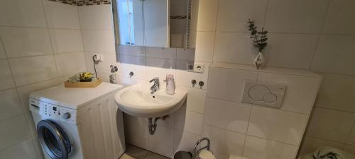 a bathroom with a sink and a washing machine at Spessartblick Eisingen in Eisingen