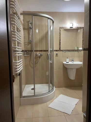 a bathroom with a shower and a sink at Willa Plejady in Karpacz
