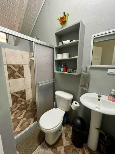 a bathroom with a shower and a toilet and a sink at Heliconia Suite 5min to Waterfall - Shared Pool Pool in Fortuna