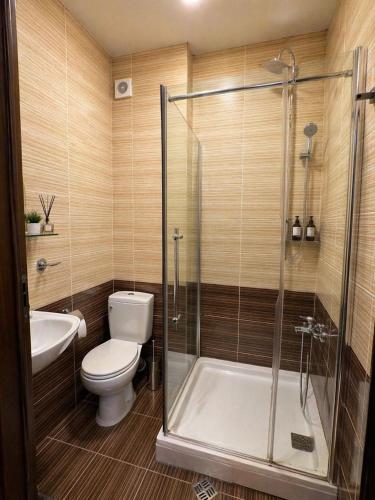 a bathroom with a shower and a toilet and a sink at Hotel Elite in Batumi