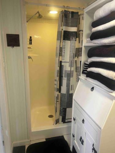 a bathroom with a shower and a white cabinet at Charming Rustic Barn in Spruce Pine