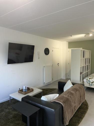 a living room with a couch and a tv at Business Accommodation 'Comfort Living' in Geel