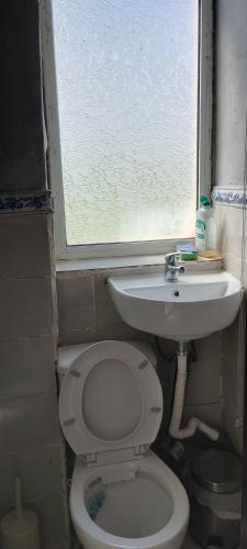a bathroom with a toilet and a sink and a window at ΚΑΡΔΙΤΣΑ οικογενειακο in Karditsa