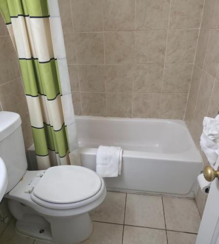 a bathroom with a toilet and a tub and a sink at Dover Inn in Dover