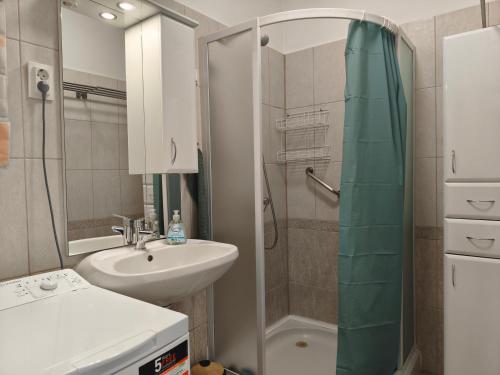 a bathroom with a sink and a shower at Galamb Odú Apartman in Baja