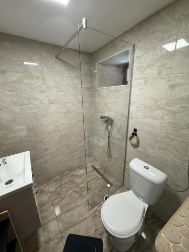 a bathroom with a shower and a toilet and a sink at Secret Forest Retreat in Ptujska Gora