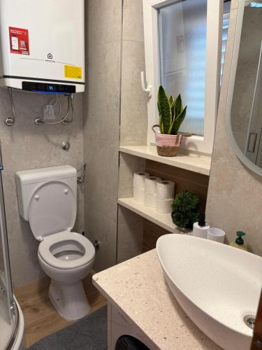 Apartman Lucic C